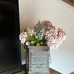 La Casa De Flores De El Hornillo
