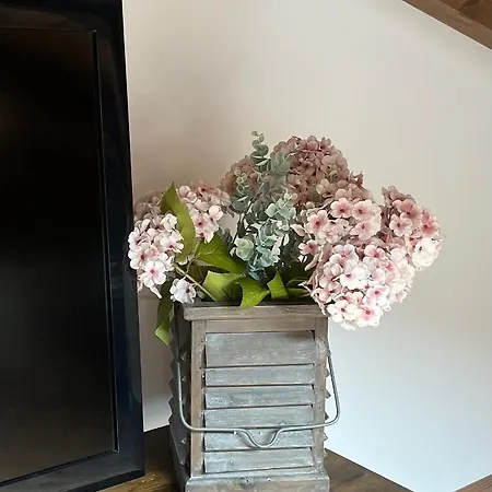 La Casa De Flores De El Hornillo