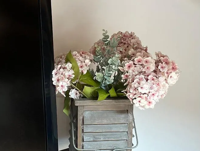 La Casa De Flores De El Hornillo